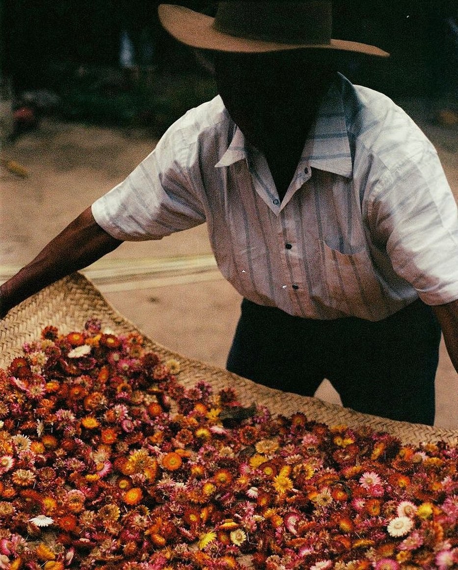 old photograph of Japanese man with back tattoo