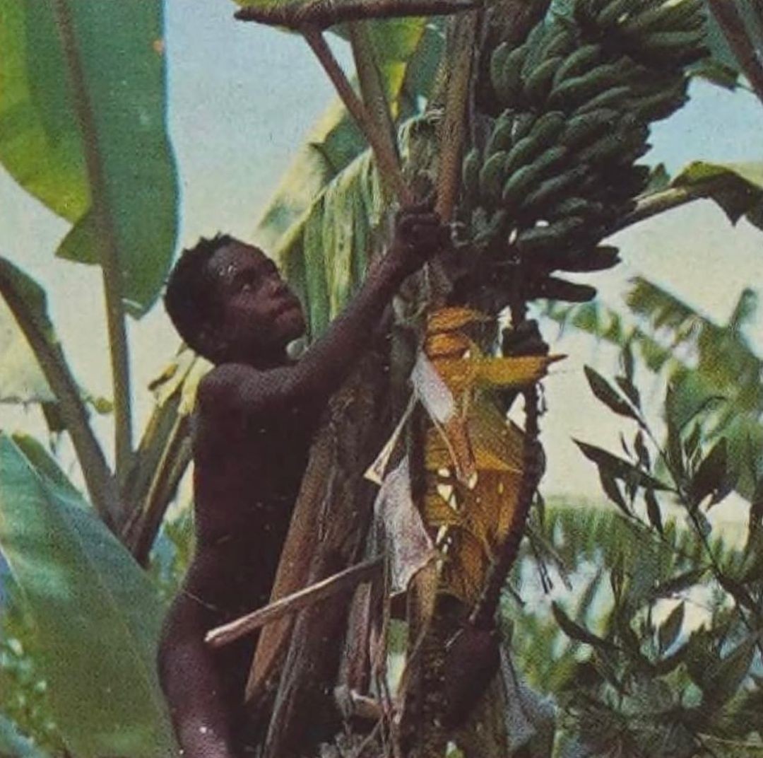 watercolor painting of building near sea