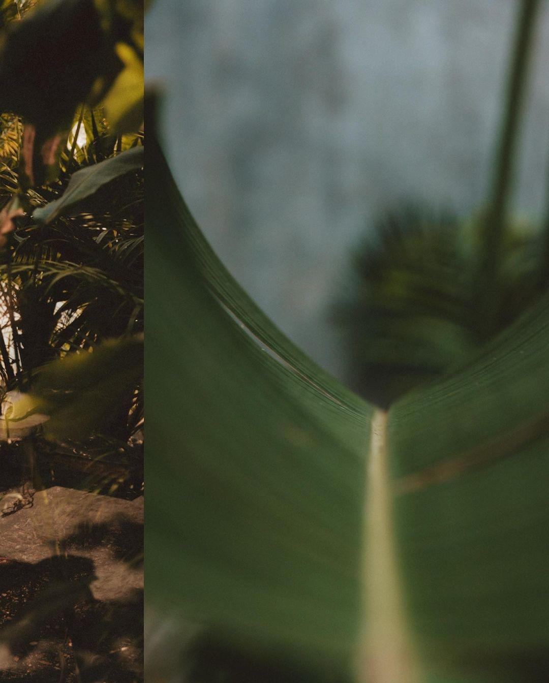 watercolor painting of building near sea