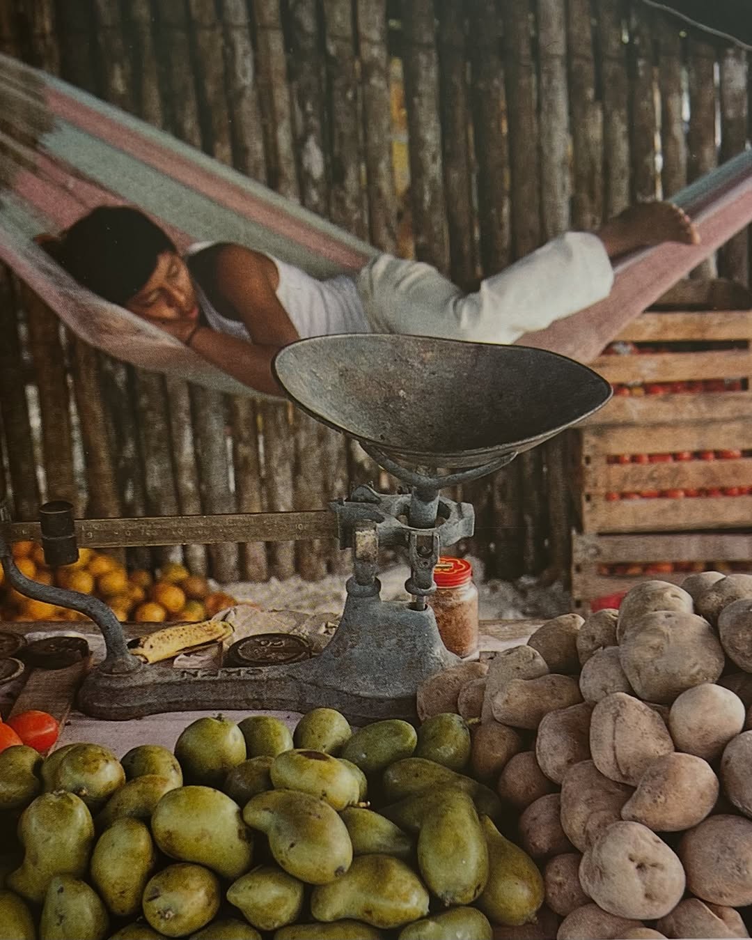 sculpture of plants and flowers