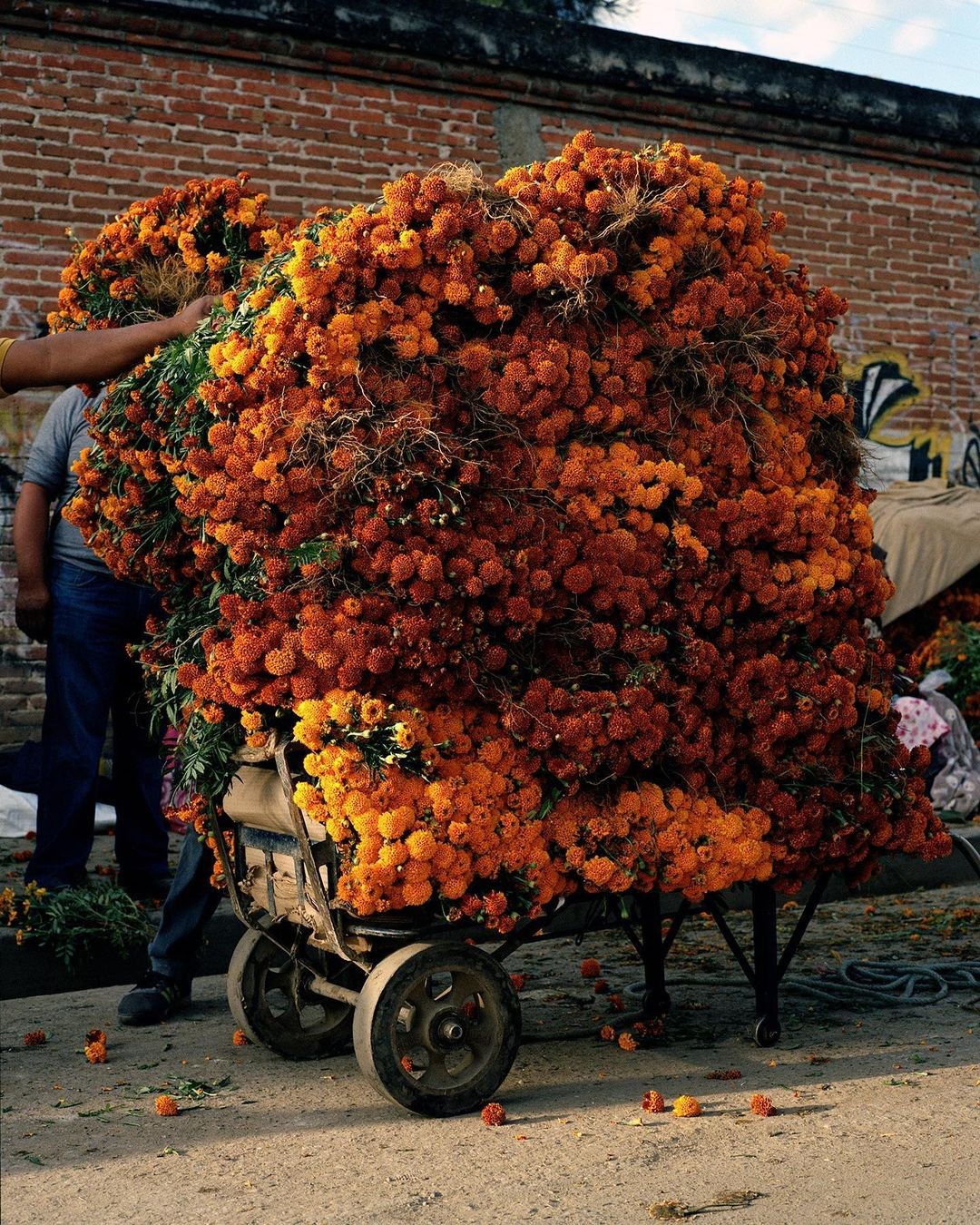 photograph of man holding face