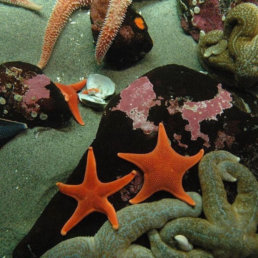 photograph of mother and child