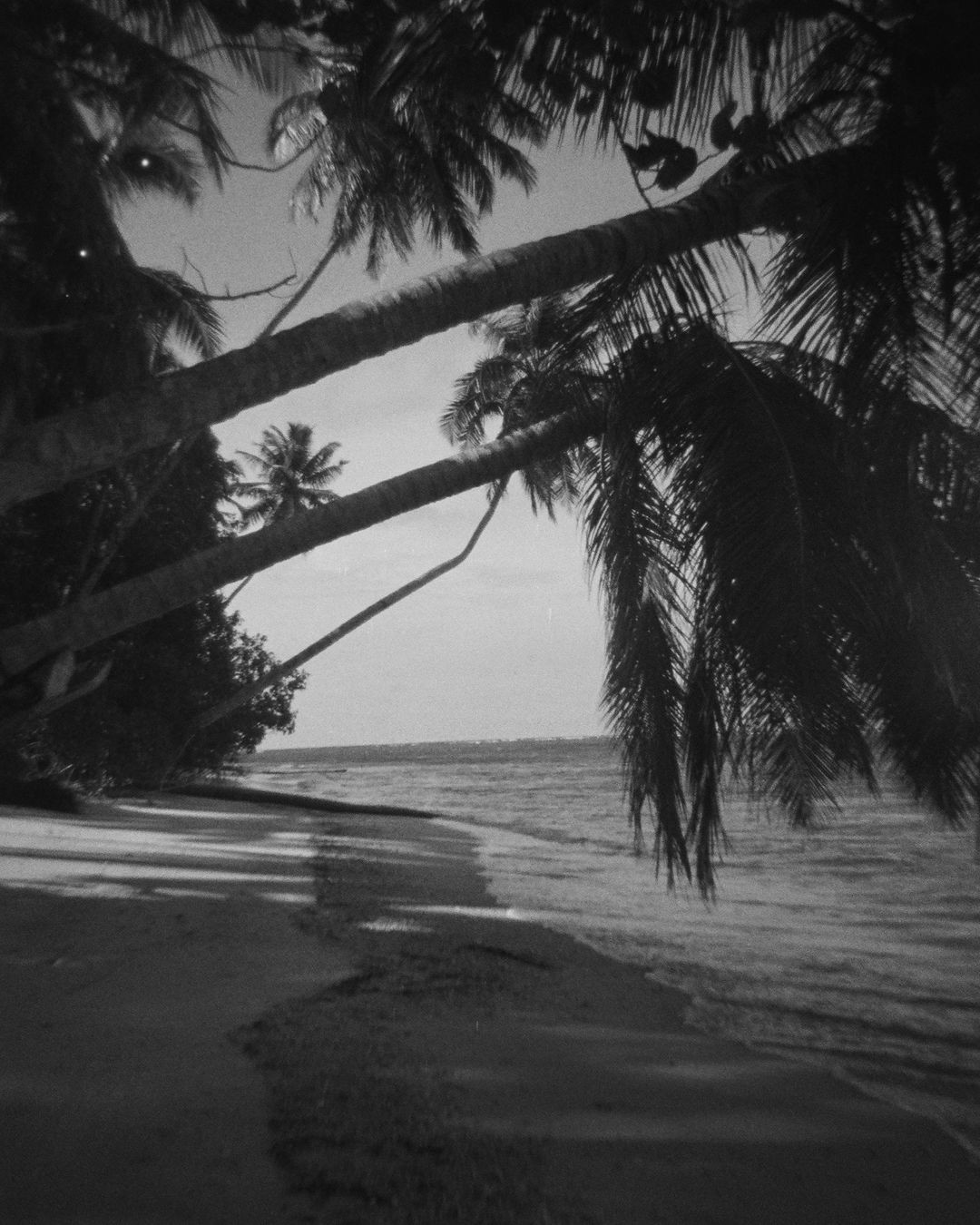 photograph of mother and child