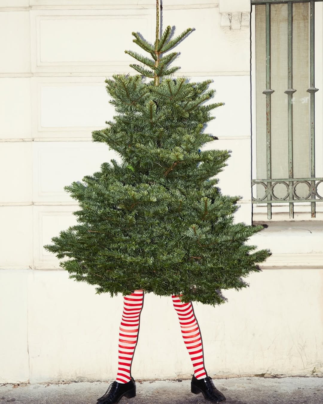 painting of girl holding branches