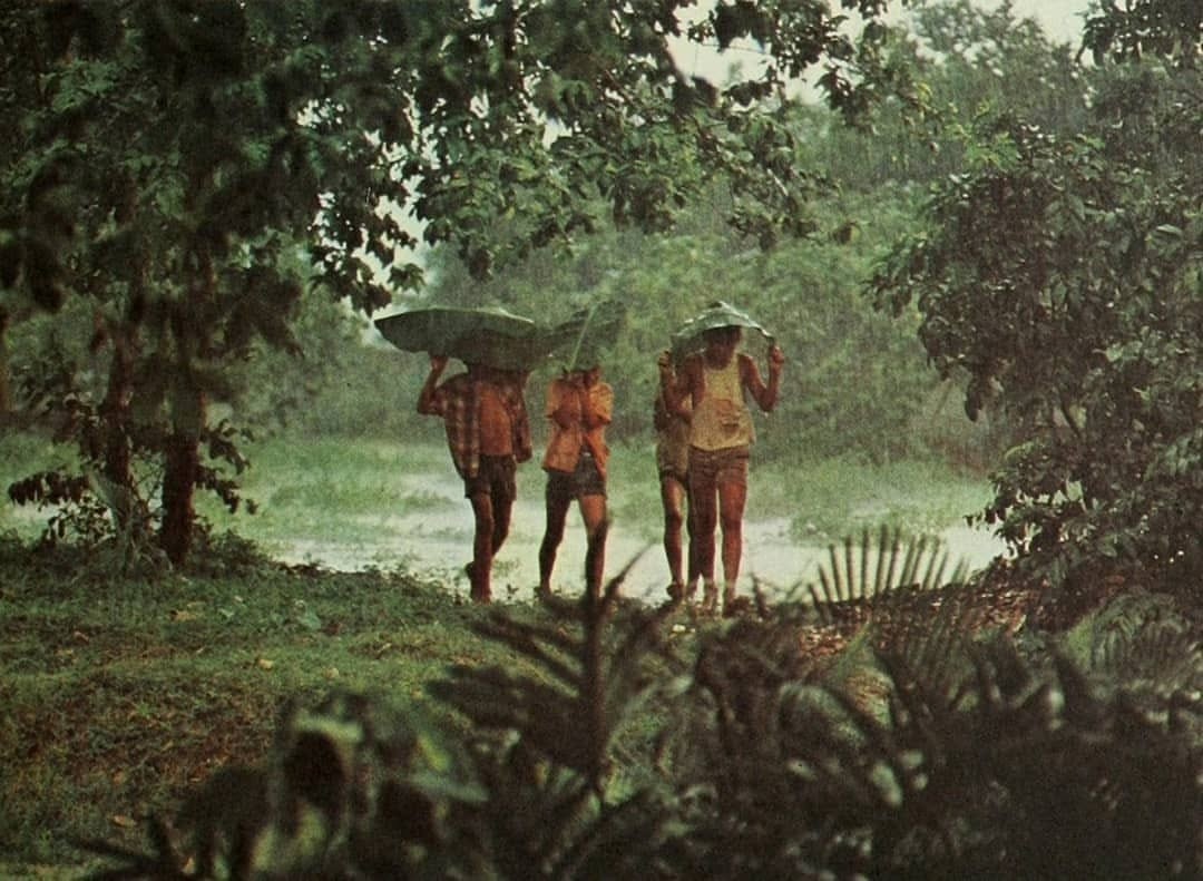 photograph of setting sun