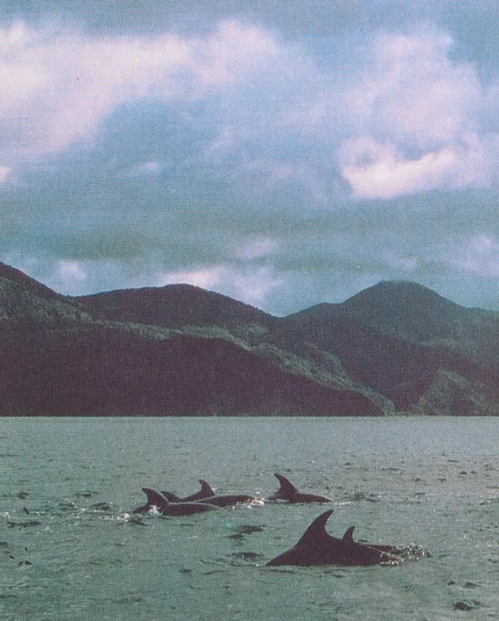 abstract sculpture with flower in vase