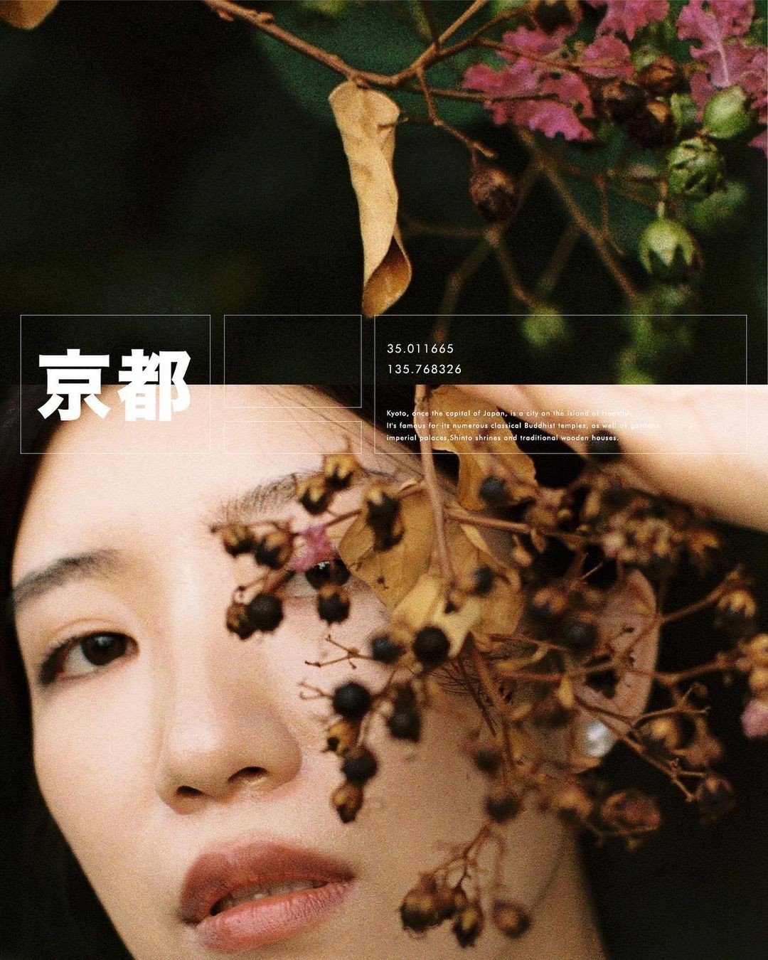 photograph of observatory equipment